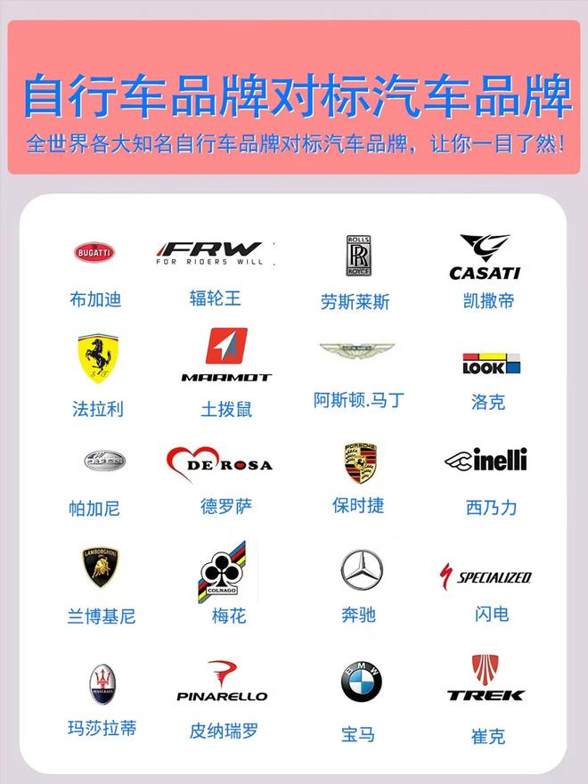 品牌TOP10对比辐轮王土拨鼠第一名long8唯一网站2025汽车自行车(图4)